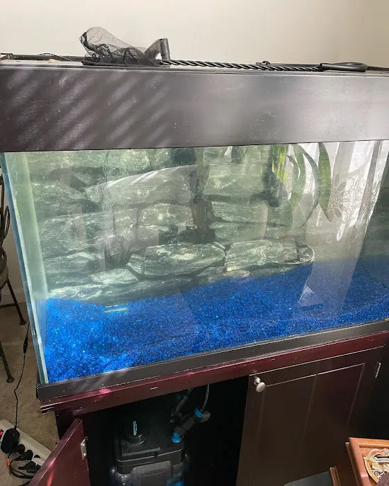 DMV aquarium hookup Picture 7