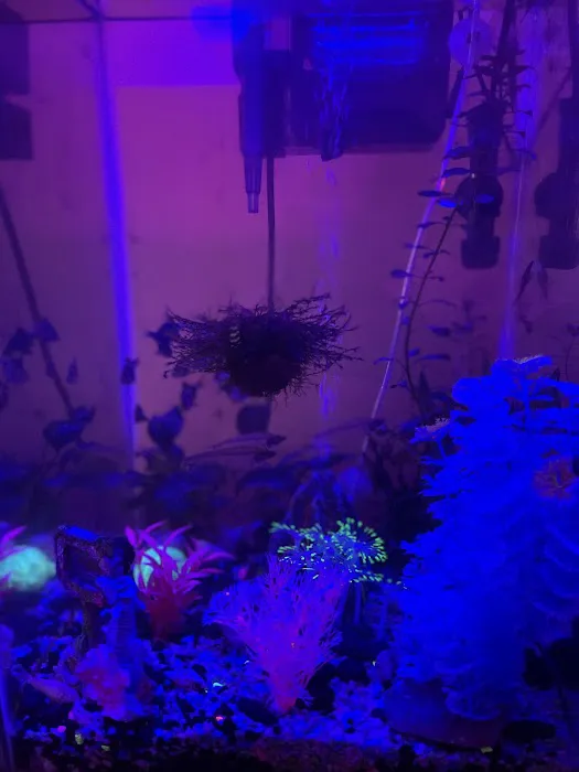 DMV aquarium hookup Picture 3