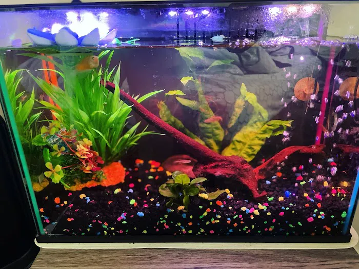 DMV aquarium hookup Picture 9