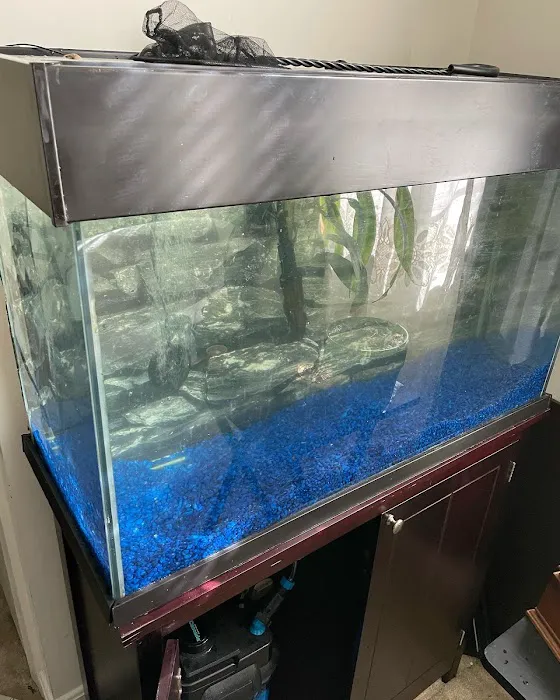 DMV aquarium hookup Picture 6