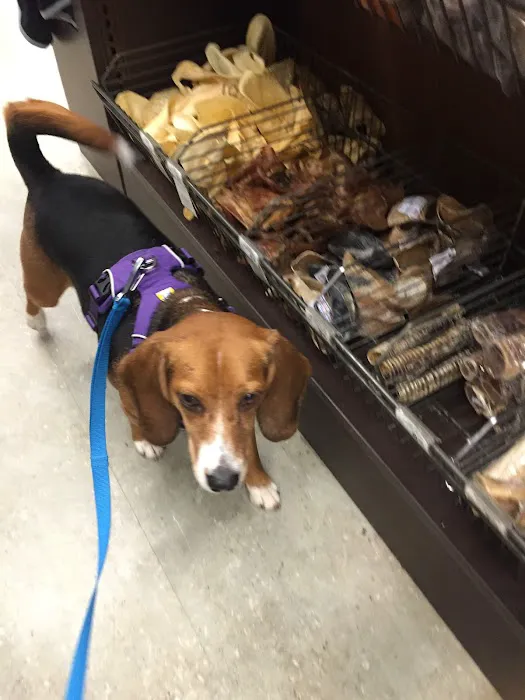 Unleashed by Petco Picture 2