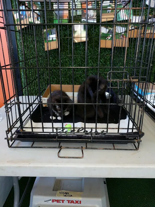 Unleashed by Petco Picture 7