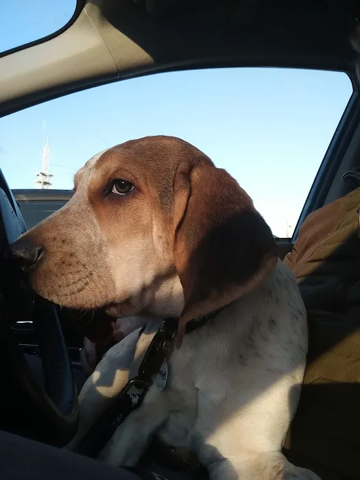 Unleashed by Petco Picture 1