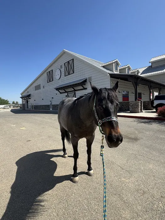 SoCal Equine Hospital Picture 2