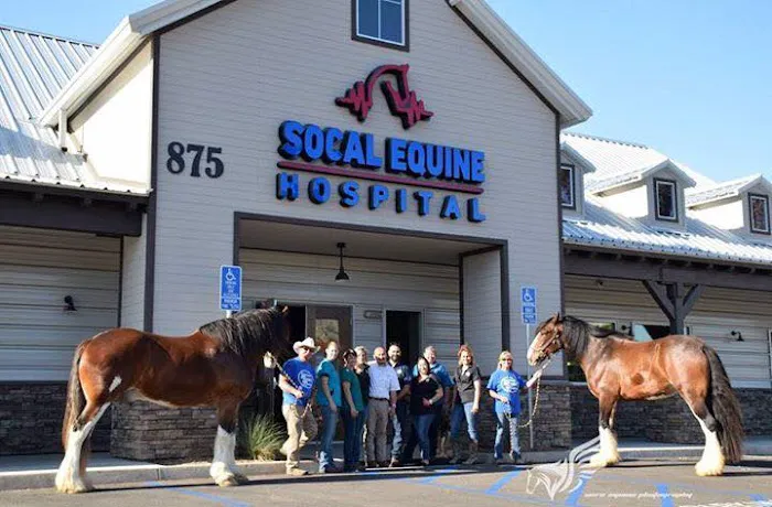 SoCal Equine Hospital Picture 6