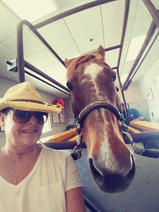 SoCal Equine Hospital Picture 5