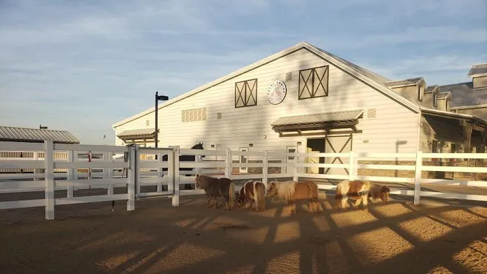 SoCal Equine Hospital Picture 7