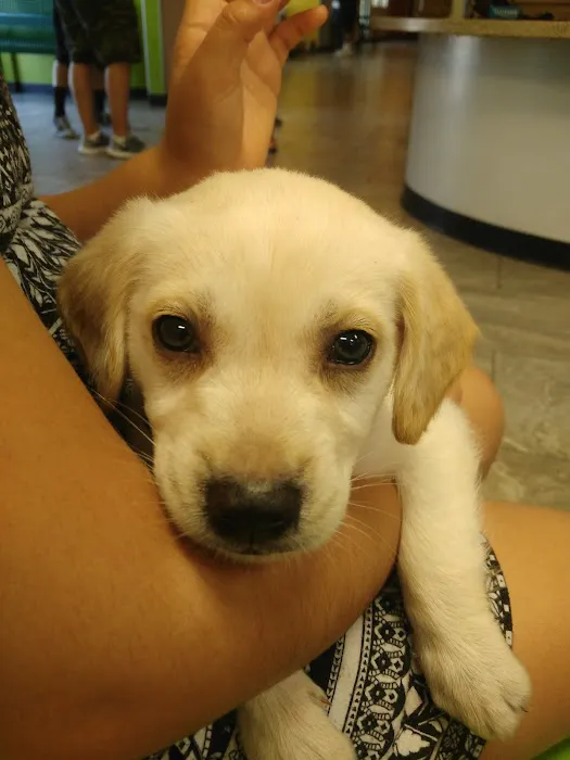 Norco Animal Hospital at SoCalVetGroup Picture 5