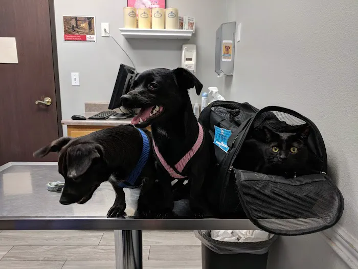 Norco Animal Hospital at SoCalVetGroup Picture 4