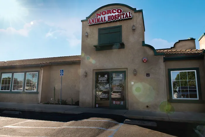 Norco Animal Hospital at SoCalVetGroup Picture 9