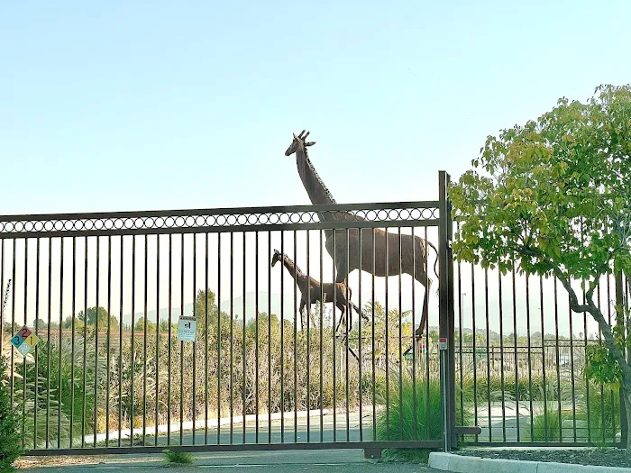 Animal Care Services Picture 3