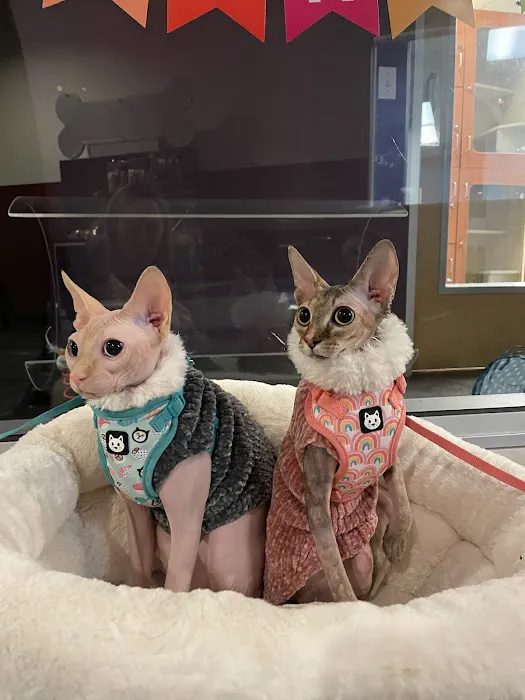 Animal Care Services Picture 7