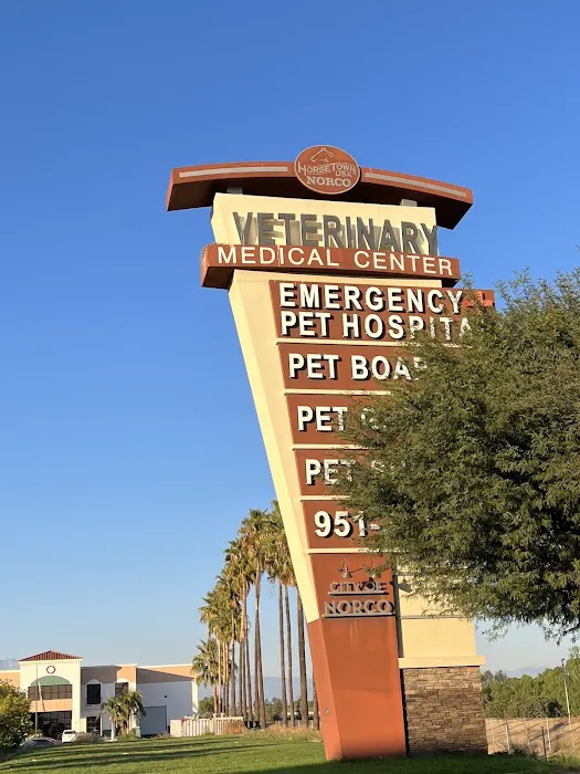 Animal Care Services Picture 1