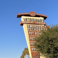 Animal Care Services ico