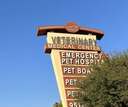 Animal Care Services