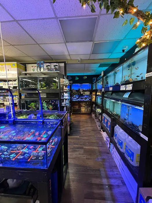Lacey Pet Supply with Next Level Exotics Picture 10