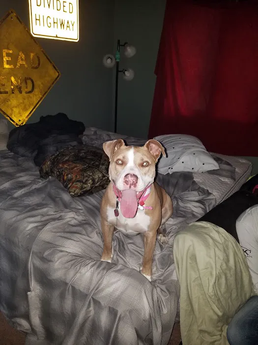 Lacey Pet Supply with Next Level Exotics Picture 6