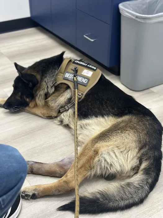 Heritage Animal Hospital, Urgent Care and Surgical Center Picture 3