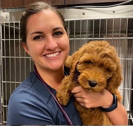 Heritage Animal Hospital, Urgent Care and Surgical Center Picture 6