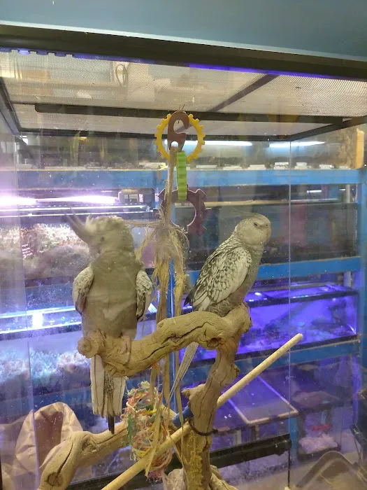 Adam's Pet Safari Picture 6