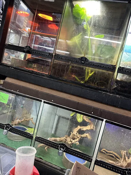 Adam's Pet Safari Picture 3
