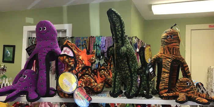 Winky's Pet Boutique Picture 7