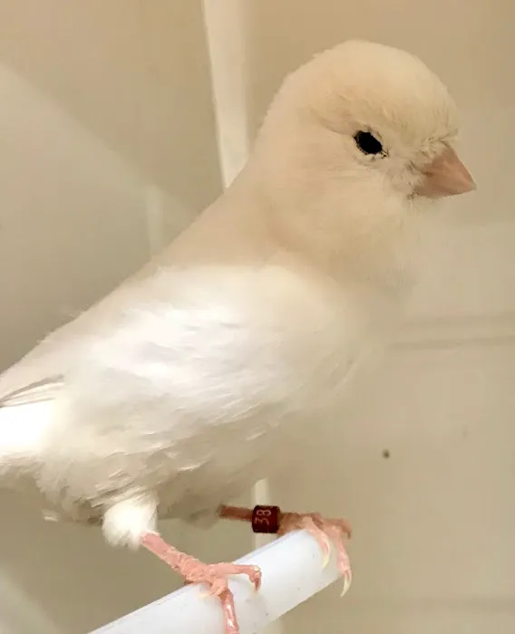 World of Birds Picture 4