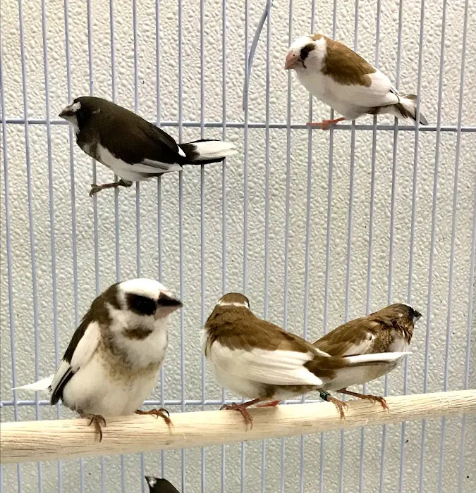 World of Birds Picture 7