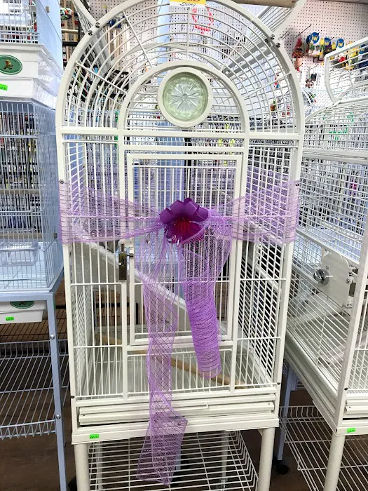 World of Birds Picture 10