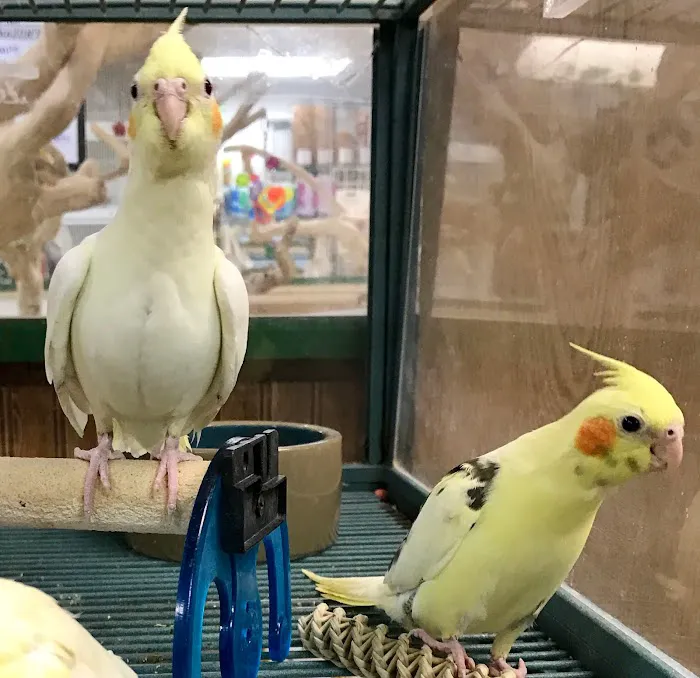 World of Birds Picture 5