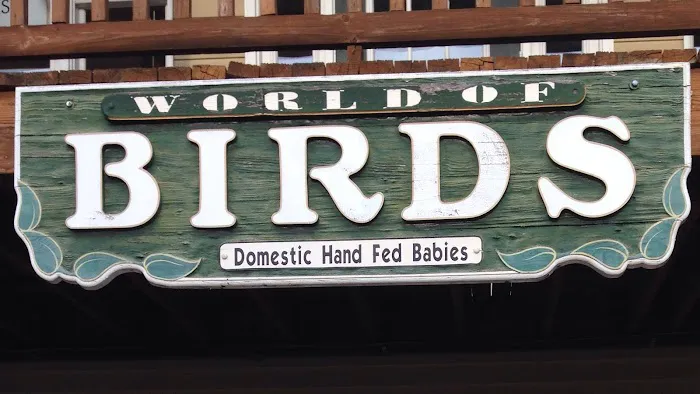 World of Birds Picture 8