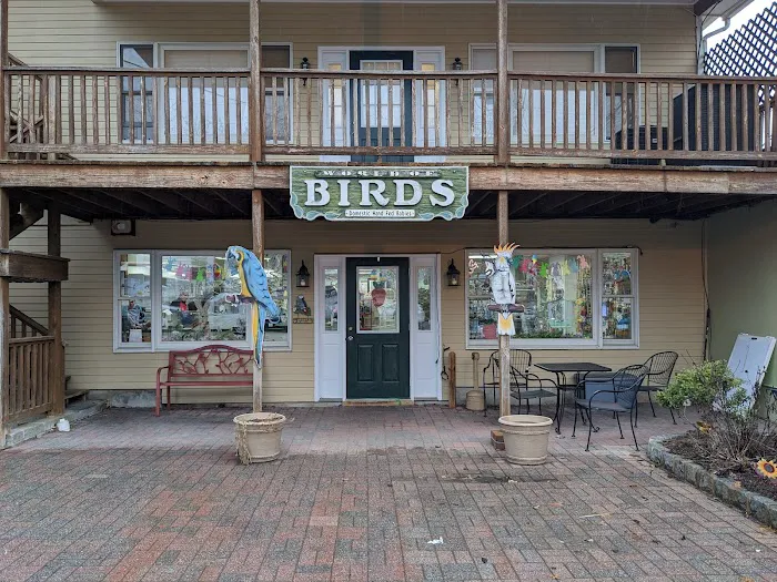 World of Birds Picture 3
