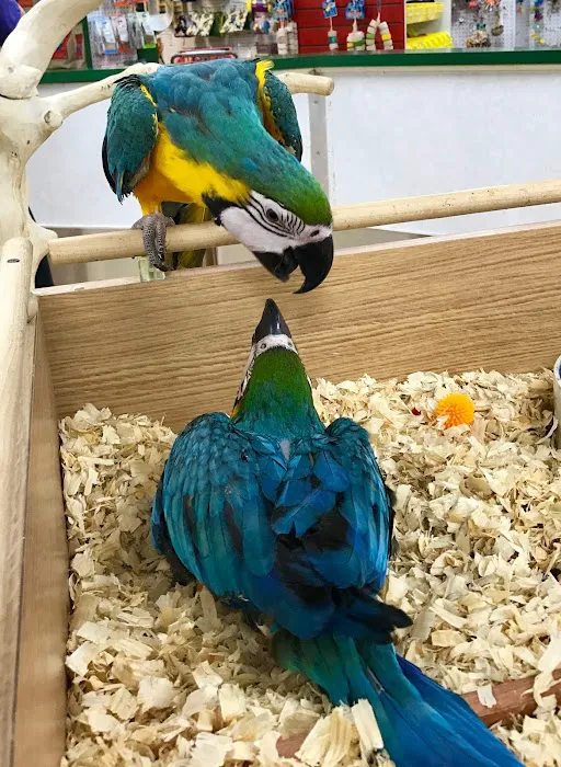World of Birds Picture 2