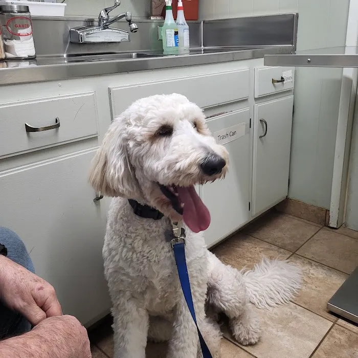 Pedley Veterinary Hospital Picture 2