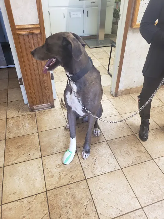 Pedley Veterinary Hospital Picture 8