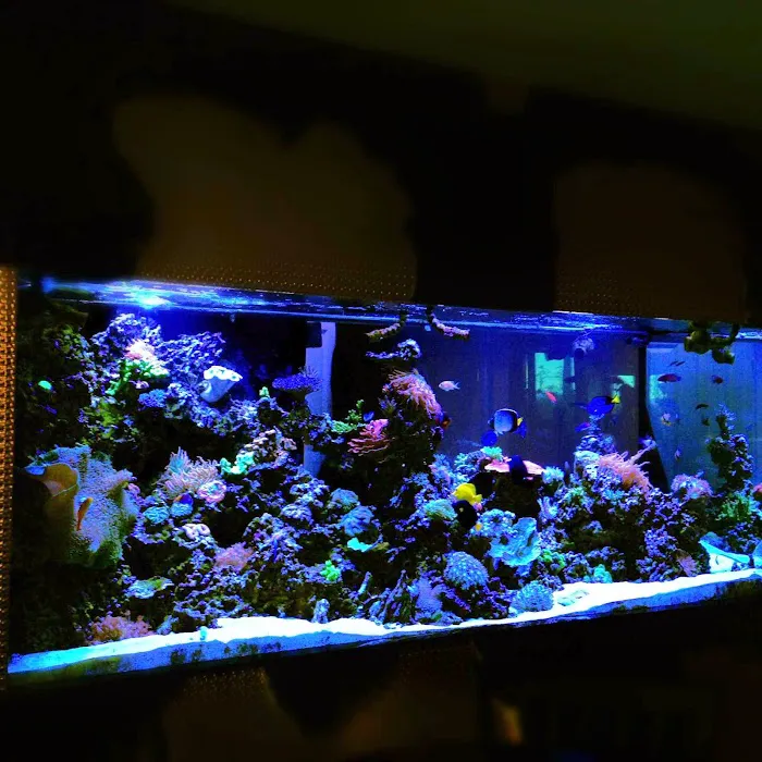 Reefco Aquariums - Showroom and Service Picture 10