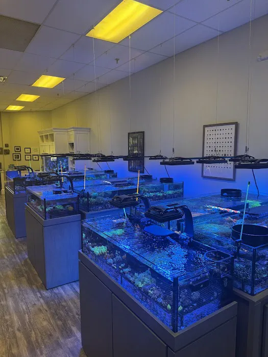 Reefco Aquariums - Showroom and Service Picture 4