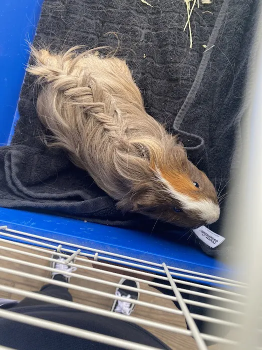 The Critter Care Center Picture 9