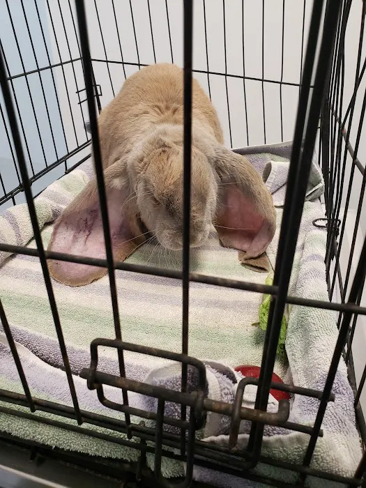 The Critter Care Center Picture 8