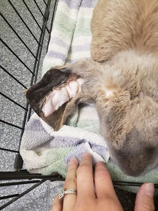 The Critter Care Center Picture 2
