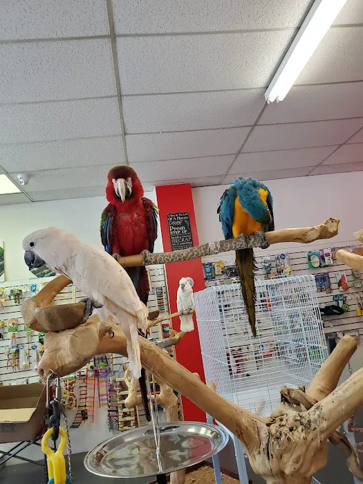 Birds By Joe Picture 7