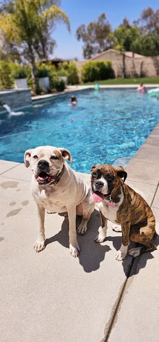 Atlas Pet Hospital Picture 1