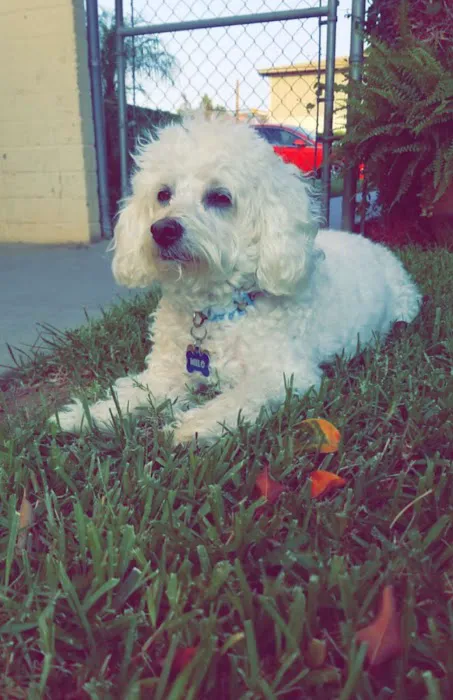 Atlas Pet Hospital Picture 8