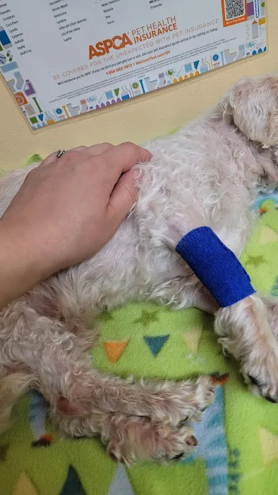 Atlas Pet Hospital Picture 10