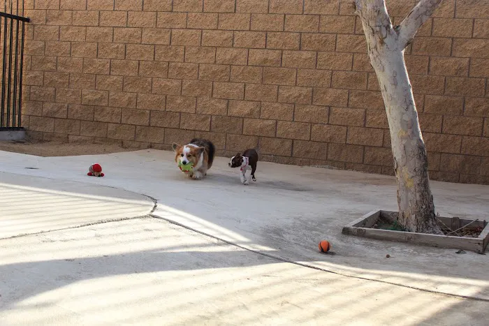 Sacred Hearts Veterinary Hospital Picture 8