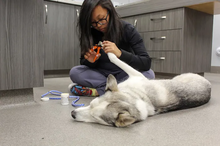 Sacred Hearts Veterinary Hospital Picture 4