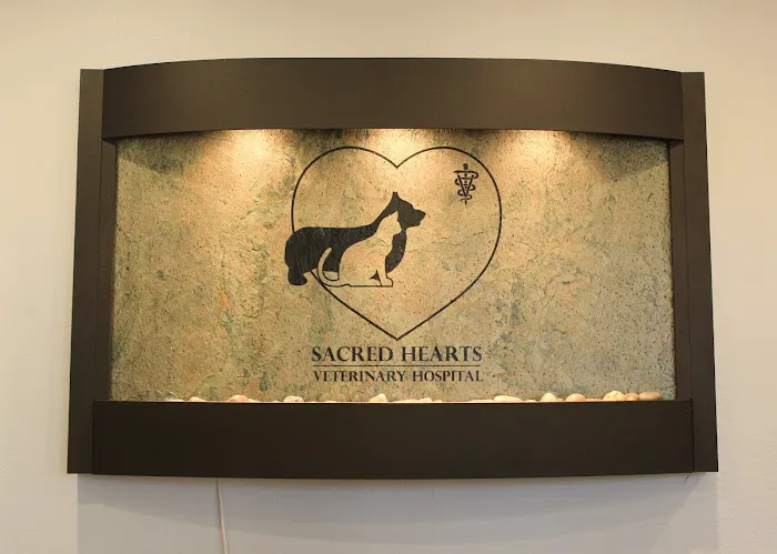 Sacred Hearts Veterinary Hospital Picture 5