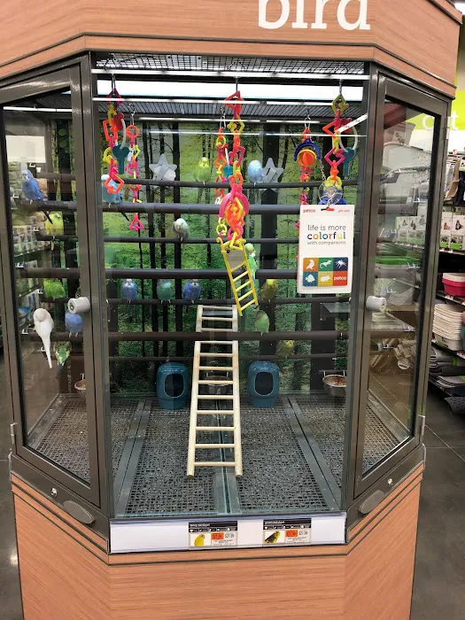 Petco Picture 5