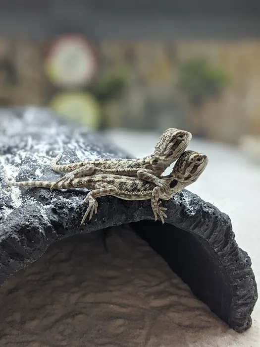Petco Picture 9