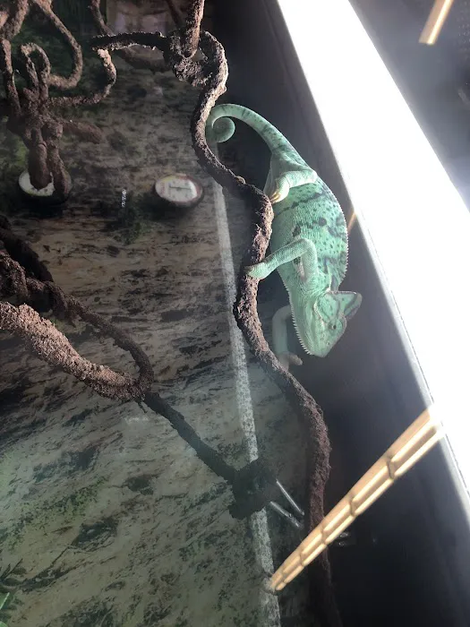 Petco Picture 2
